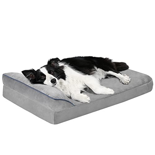 Arien Cama para Perro Grande, Cama para Perros L Lavable con Almohada