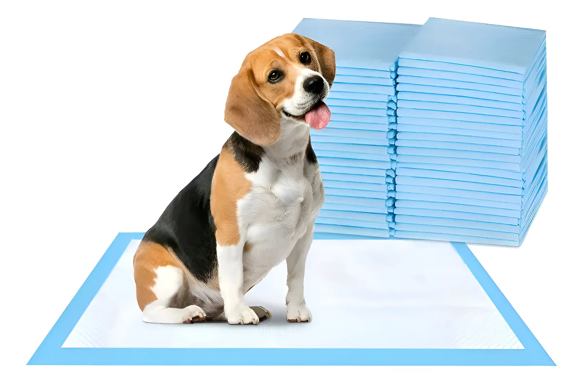 Pañal Almohadillas De Entrenamiento Para Perros Gatos 100pz Azul 33x45